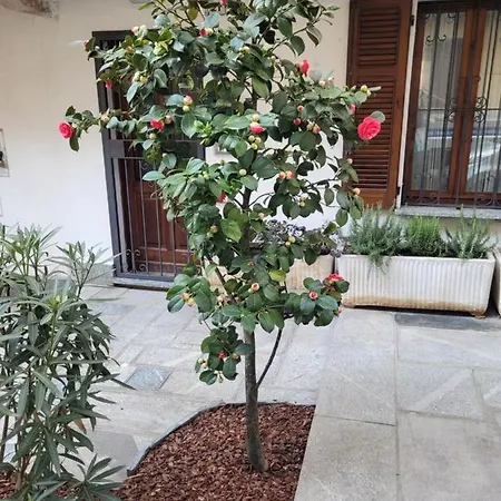 Holiday home Ca' Letizia Stresa