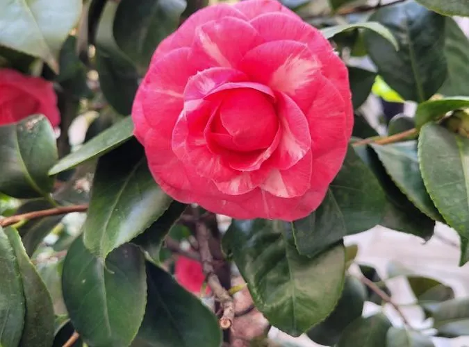 Ca' Letizia Hébergement de vacances