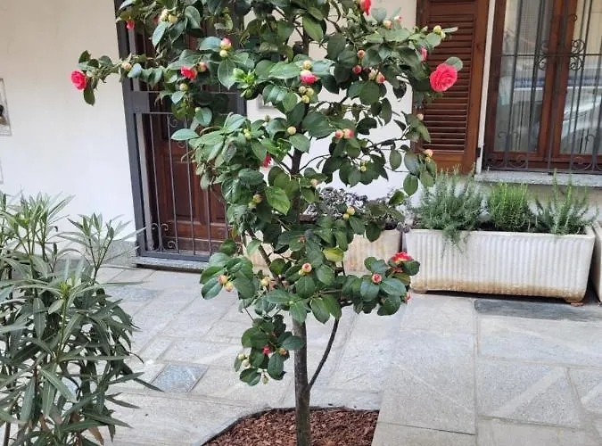 Hébergement de vacances Ca' Letizia Stresa